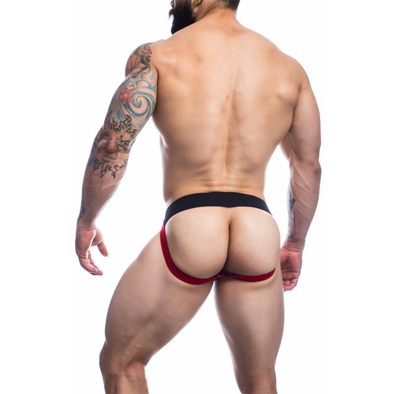 Stripe Pride Suspensorio Bandera Orgullo LGBT