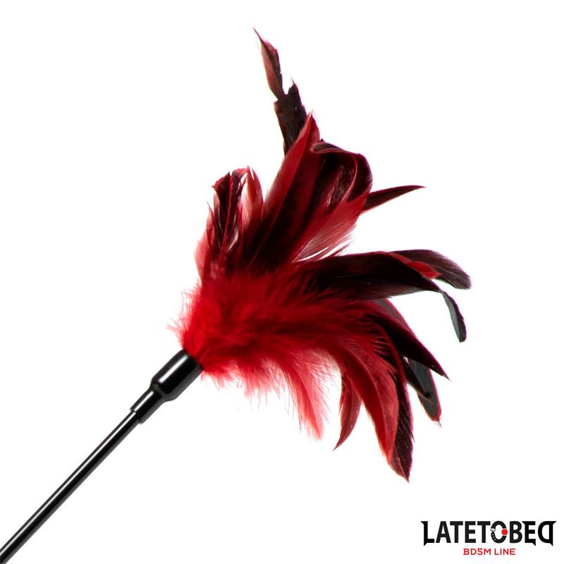 Pala con Plumas 2 en 1