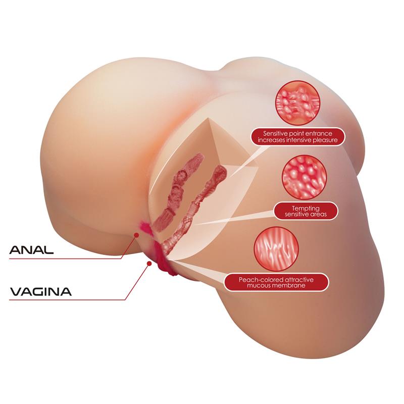 Masturbador Ano y Vagina 54 kg