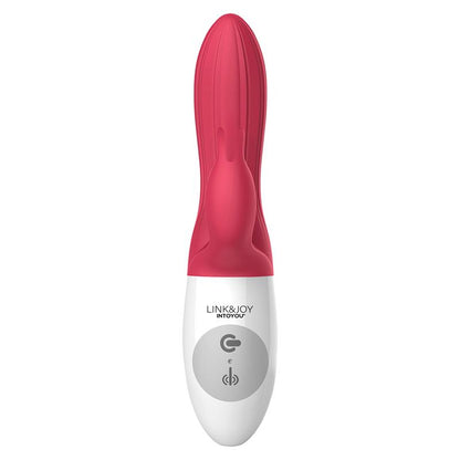 Stripe Controller Vibrador
