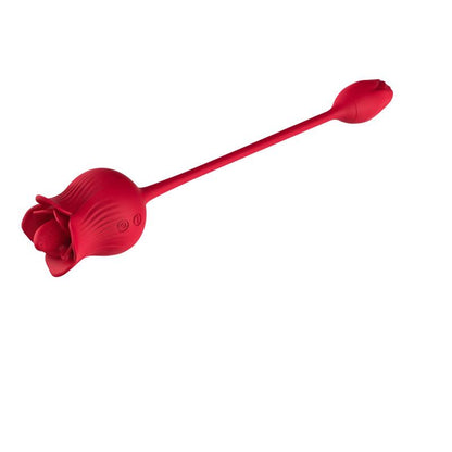 Rosa con Licking y Huevo Vibrador USB